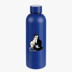 Термобутылка