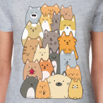 Смешные коты (funny cats)