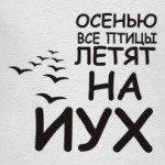 Осенью все птицы летят на йух
