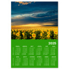  Подсолнухи