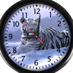 'Белый Тигр'