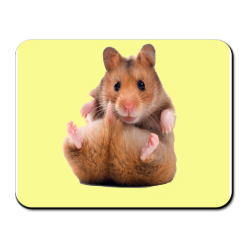 Коврик для мыши с принтом  'Хомяк'