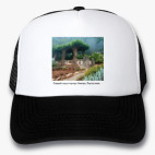 Кепки Trucker