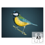 Птица Синица