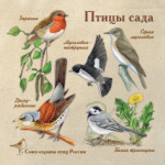 Птицы сада