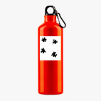 Металлическая бутылка 700 мл UV-DTF