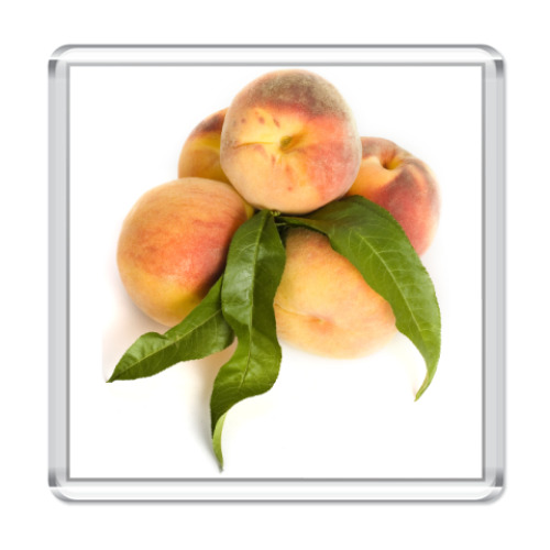 Магнит с принтом  Персики