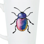 Радужный жук