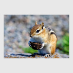 Как прекрасен этот мир