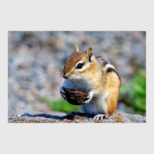 Постер с принтом Как прекрасен этот мир