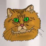 Голова рыжего кота