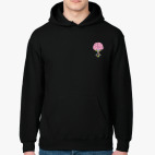 Типичный программист