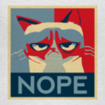 Grumpy cat - NOPE
