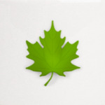 Кленовый лист