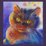 Радужный кот