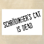  Schrodinger's Cat