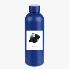 Термобутылка