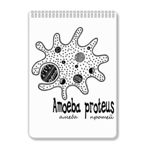 Блокнот с принтом Amoeba proteus