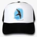 Кепки Trucker