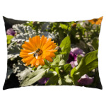 Пчела на цветке