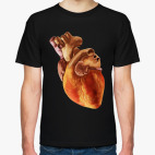 Человеческое сердце