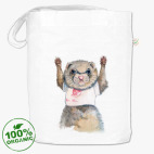 Хорек - спортсмен