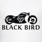 Black Bird