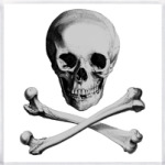 Череп с костями