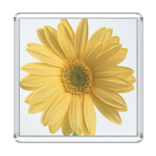 Магнит с принтом   Цветок