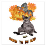 Плохой кот-поджигатель