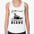 Котэ Шрёдингера