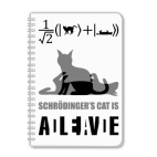 Котэ Шрёдингера