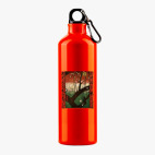 Металлическая бутылка 700 мл UV-DTF