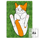   'Котенок на траве'