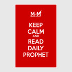 Постер 20 х 30 см Harry Potter|Гарри Поттер