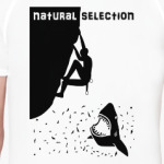 Natural Selection
