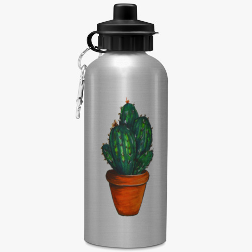 Бутылка с карабином (500 мл) с принтом кактусы