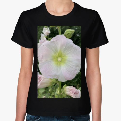 Женская футболка с принтом мальва, шток роза