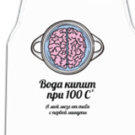 Вода кипит при 100C. А мой мозг от тебя
