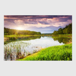 Фото природы