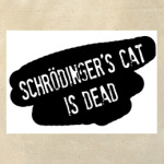  Schrodinger's Cat