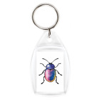 Радужный жук