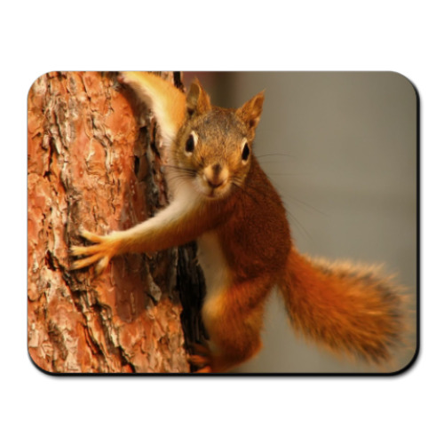 Коврик для мыши с принтом  БЕЛКА