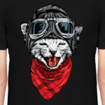 Котяра-летчик