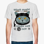 Ниндзя-кот (Ninja cat)