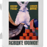 Разводите кроликов