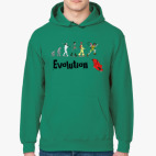 Толстовка худи