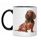 Кружка двухцветная