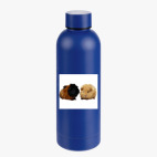 Термобутылка