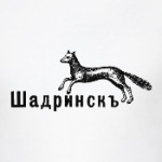 Я люблю Шадринск!